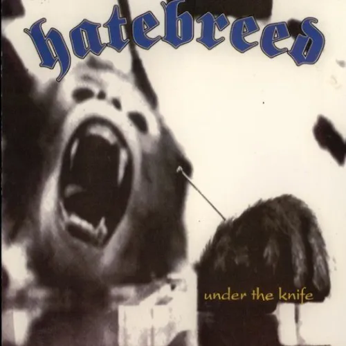 HATEBREED ´Under The Knife´ [Vinyl 7