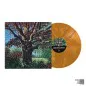 Preview: ONE STEP CLOSER ´Songs For The Willow´ Orange Vinyl