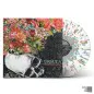 Preview: URSULA ´I Don't Like Anything´ Clear w/ Blue, Green & Pink Splatter Vinyl