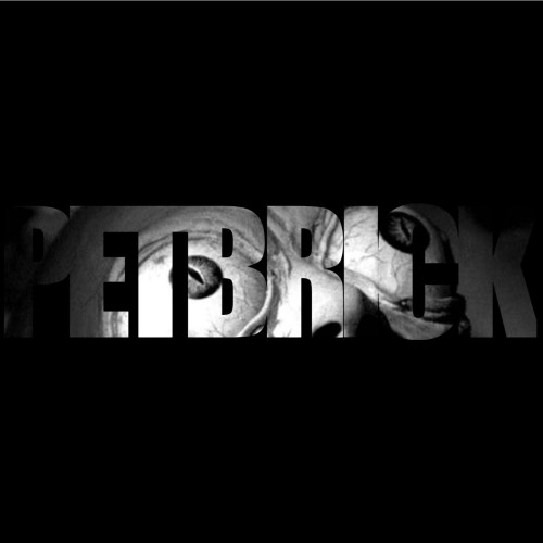 PETBRICK ´Self-Titled´ Cover Artwork