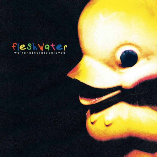 FLESHWATER ´We're Not Here To Be Loved´ Cover Artwork
