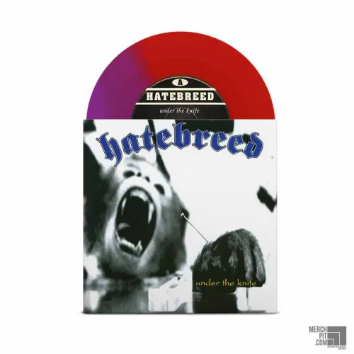 HATEBREED ´Under The Knife´ Half Purple & Half Red Vinyl